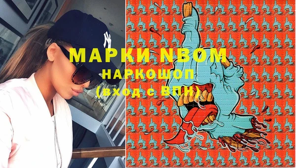 хмурый Богородицк