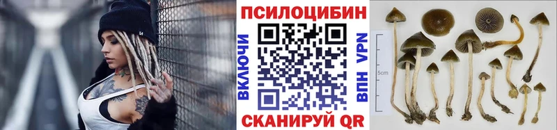 Псилоцибиновые грибы GOLDEN TEACHER  наркота  Великий Новгород 